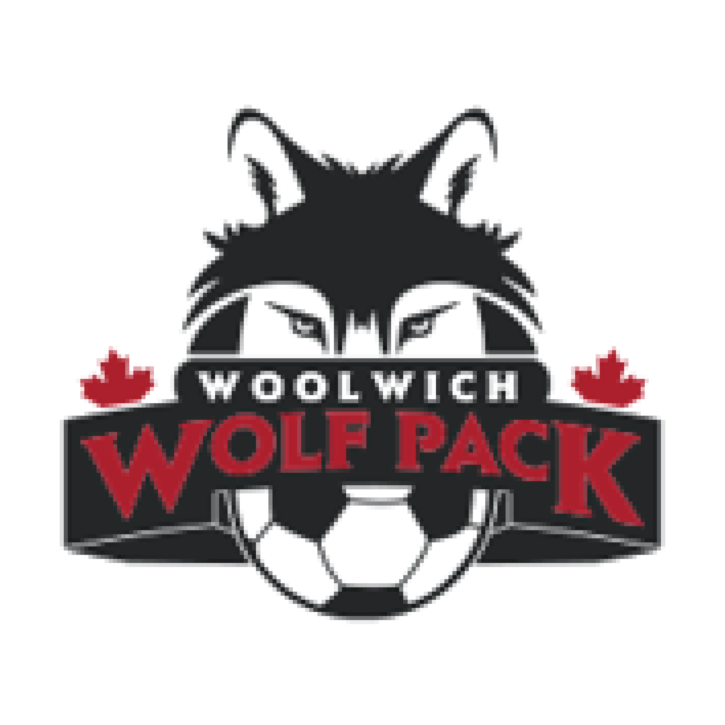 Woolwich Youth Soccer Club
