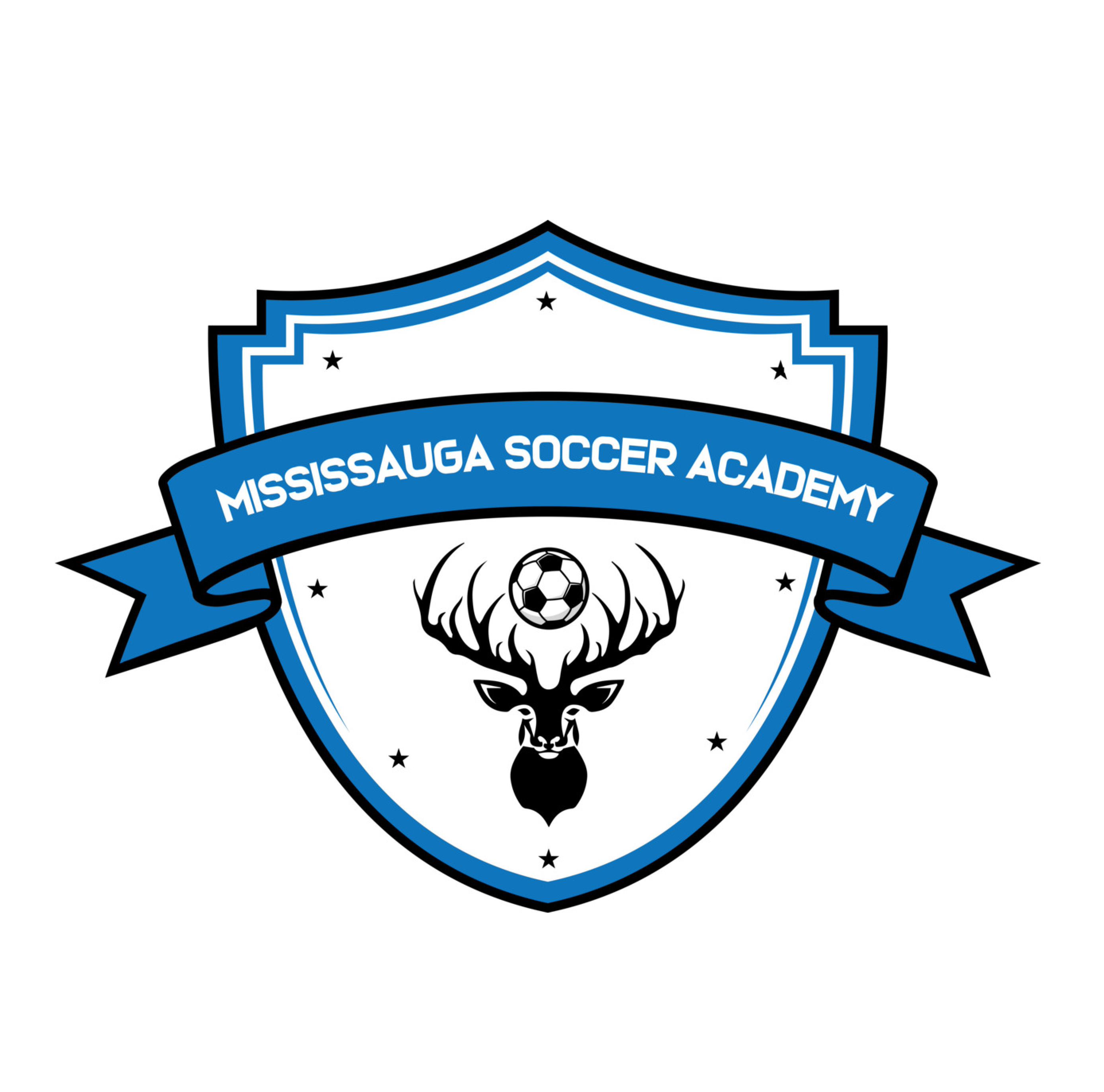 Mississauga Soccer Academy