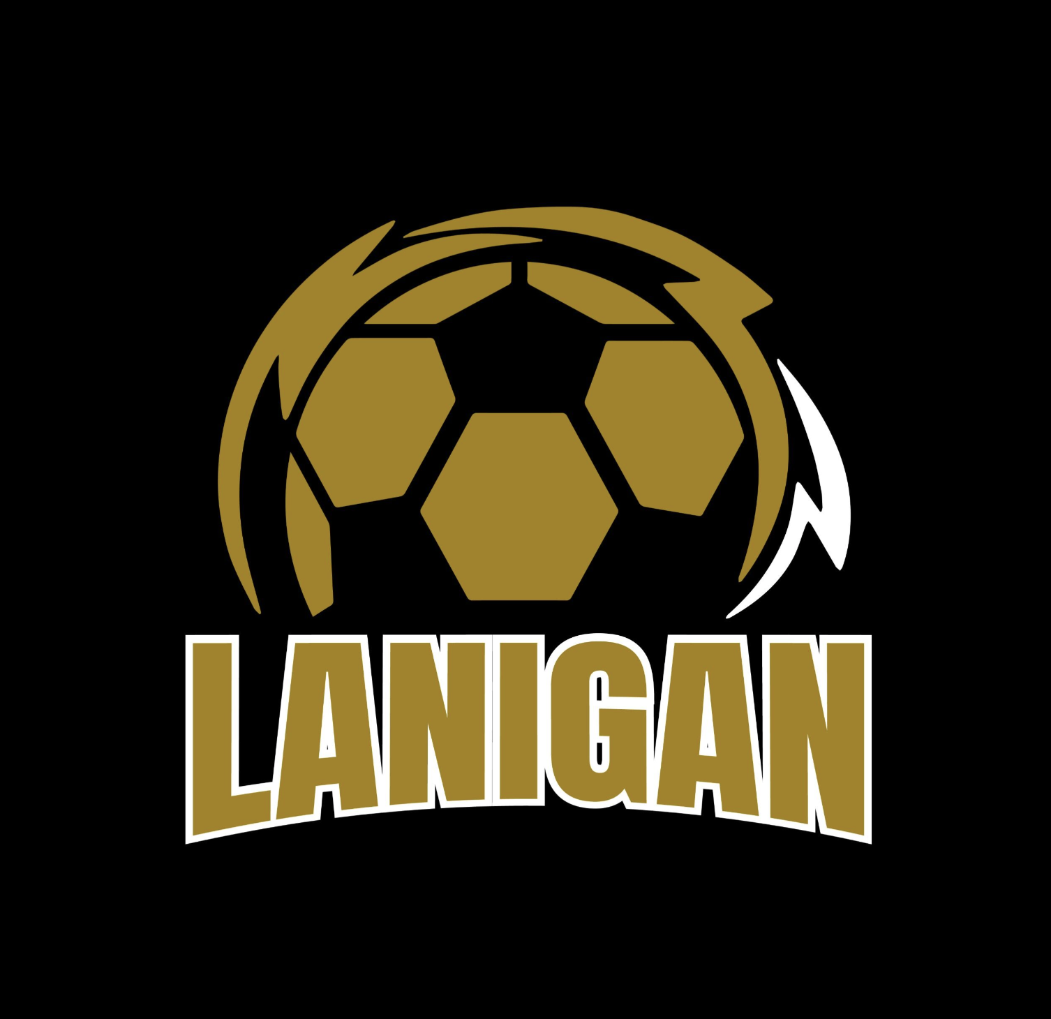 Lanigan & District Soccer Association