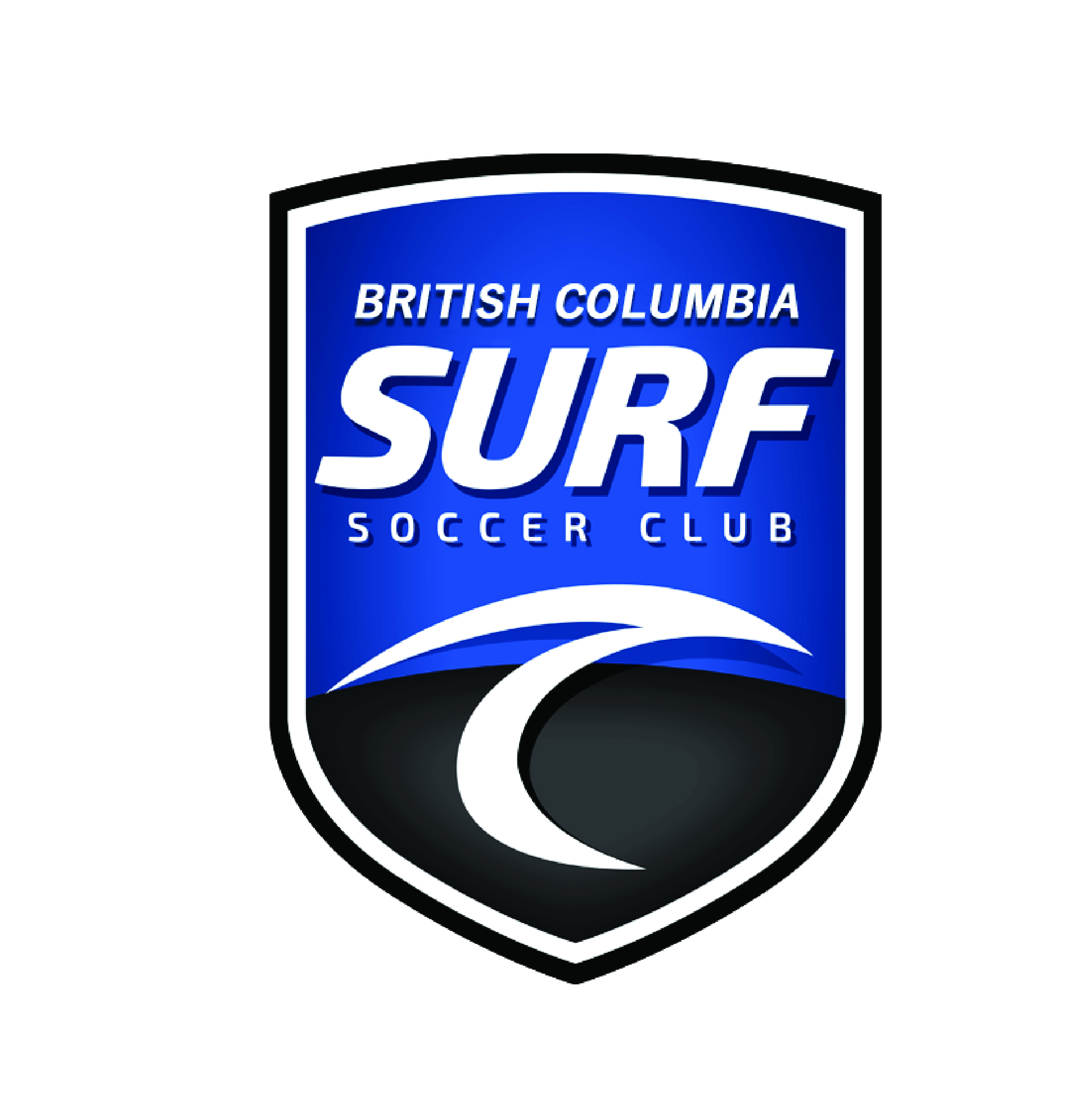 VIP Sports - Elite XI Soccer Academy