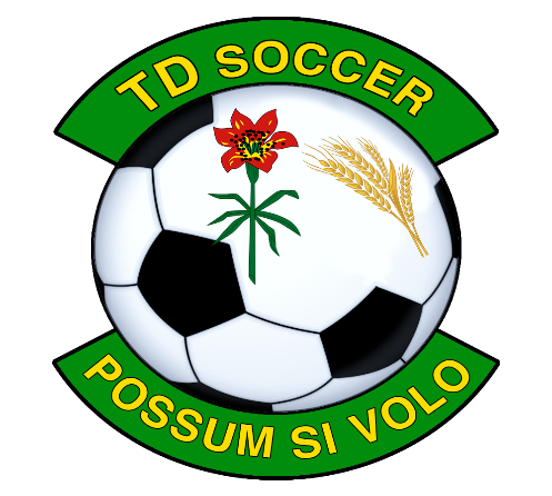 TDsoccer