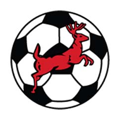 Red Deer City Soccer Association