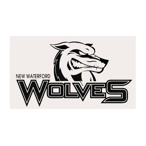 New Waterford Minor SC