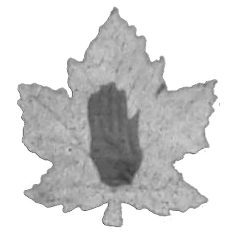 Toronto Ulster United FC