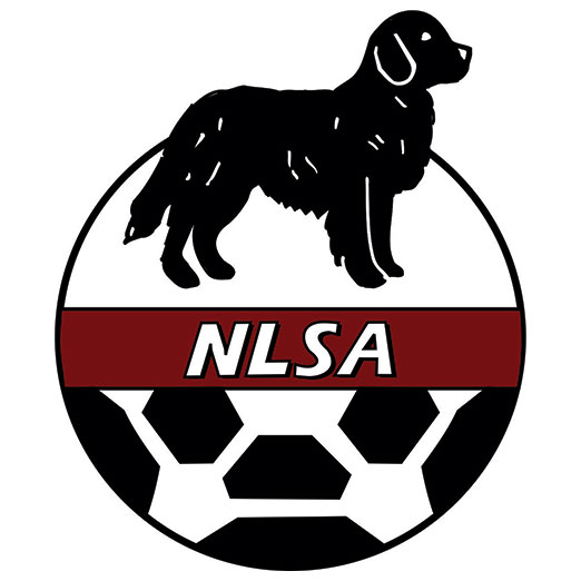 Jeune joueur de l'année NLSA